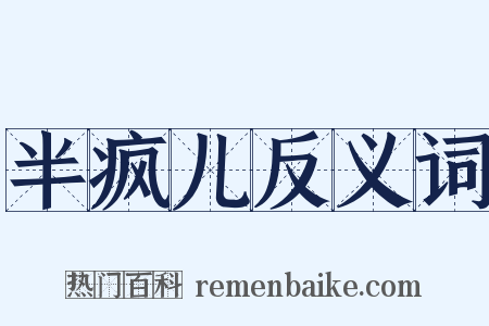 半疯儿反义词是什么意思的图片